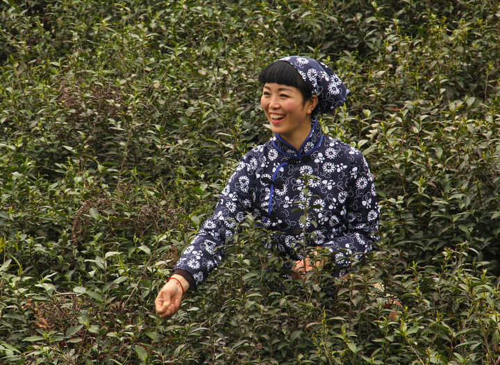 飞兔ios 血色探戈
